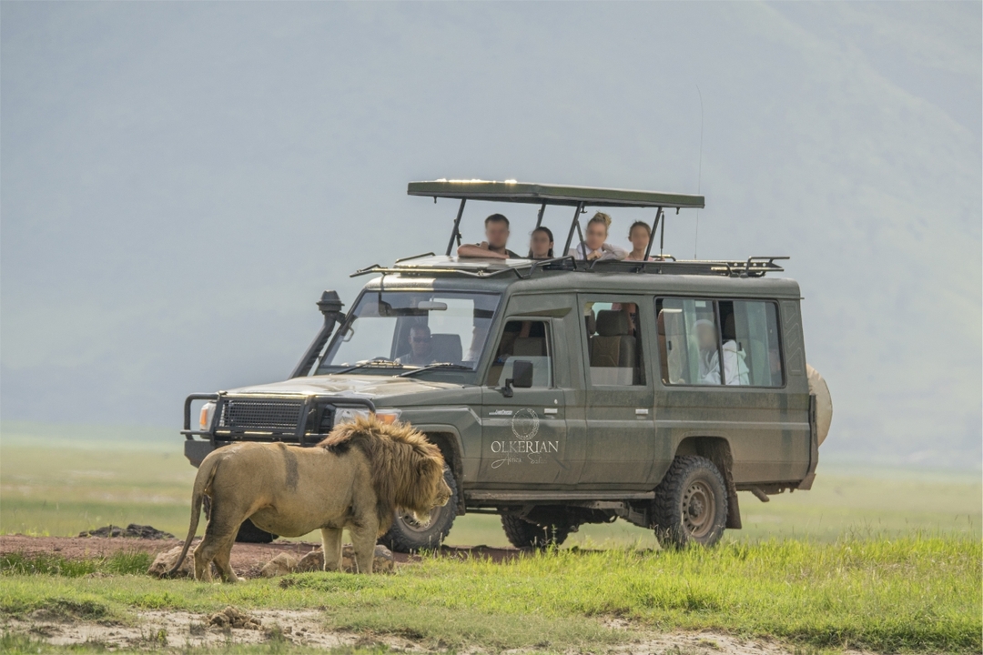 5 Days Ngorongoro Crater to Serengeti Plains Adventure 2