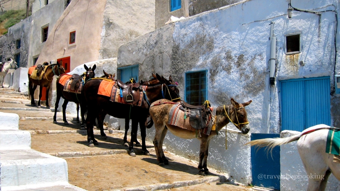 Mykonos & Santorini Discovery Tour – 5 Days | Greek Islands Experience 6