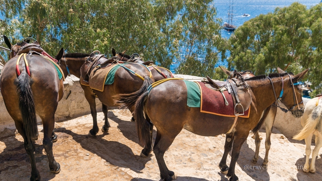 Paros & Santorini Island Hopping Tour – 5 Days | Greek Islands Escape 6