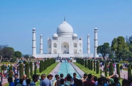 10 Days Rajasthan & Wildlife