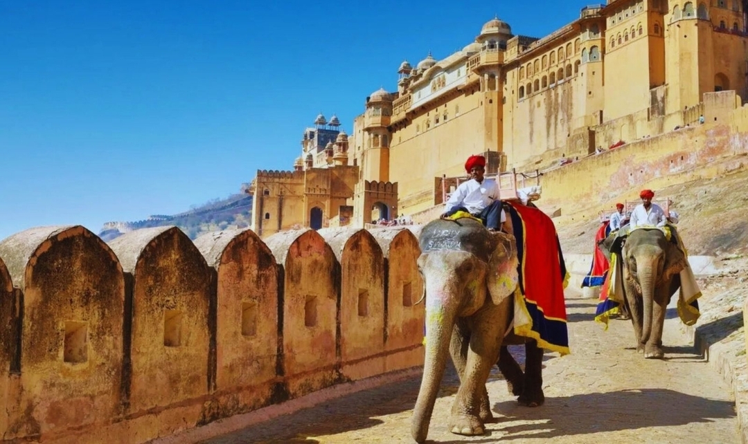 10 Days Rajasthan & Wildlife 4