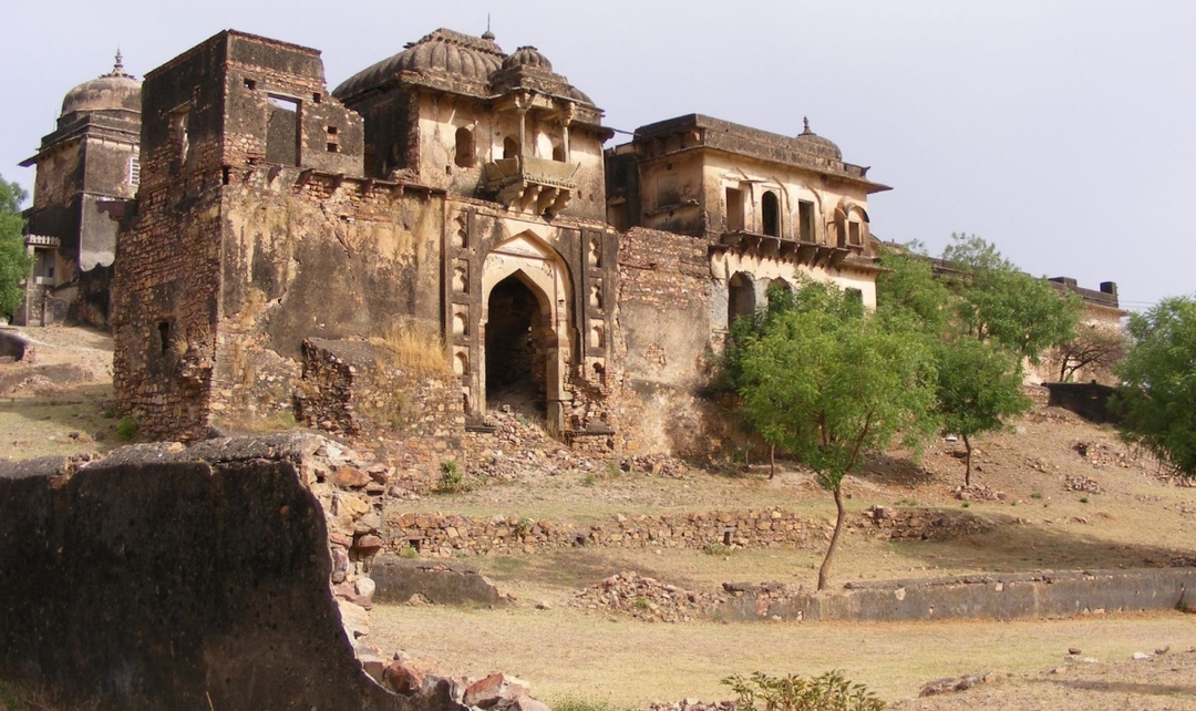 10 Days Rajasthan & Wildlife 9