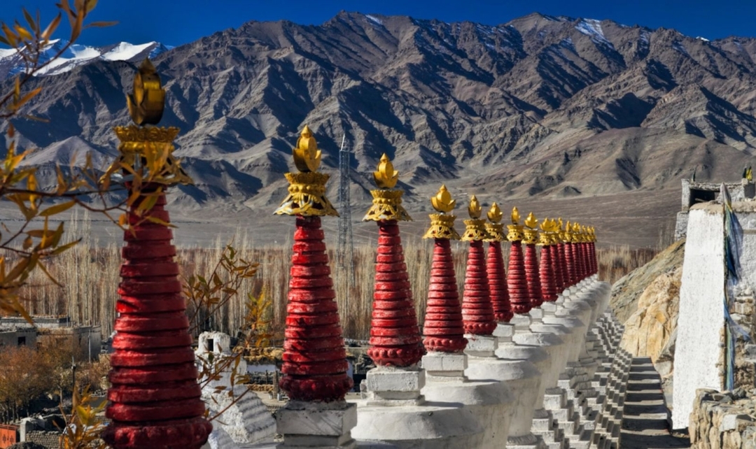 Land of the Lamas 2