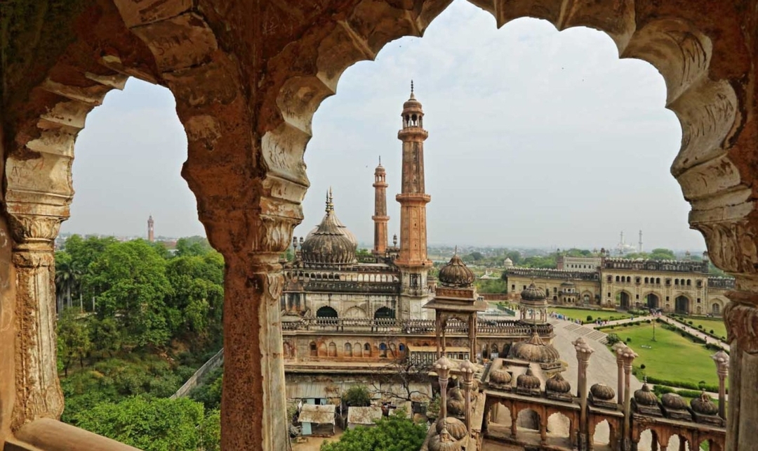 Taj, Tigers & Trains 4