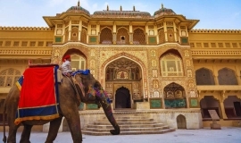 Timeless India, Varanasi & Ranthambore Tiger Safari