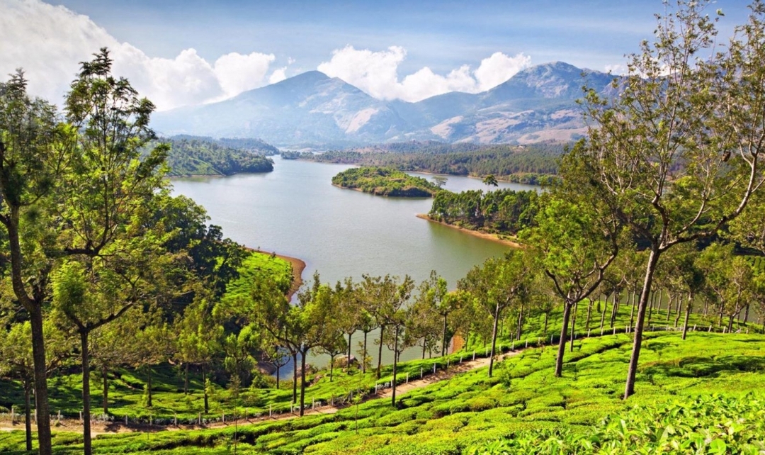 Southern India Highlights Experience 6
