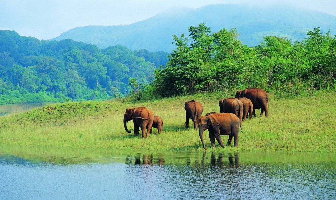 Southern India Highlights & Coastal Experience 4
