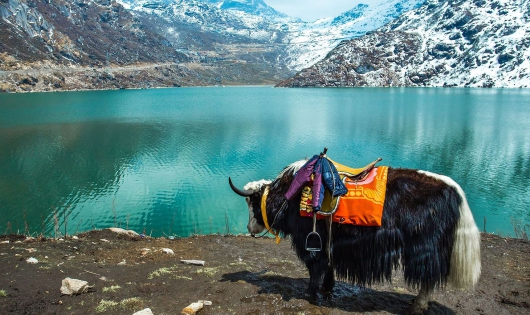 Eastern India Himalaya Darjeeling & Gangtok 3