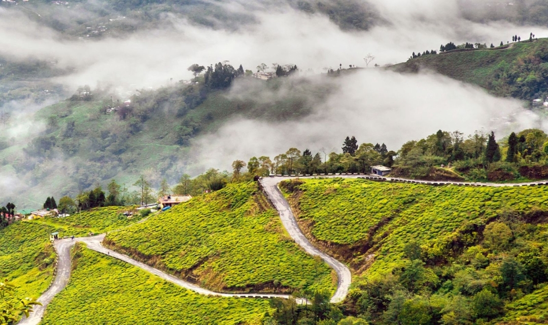 Eastern India Himalaya Darjeeling & Gangtok 5