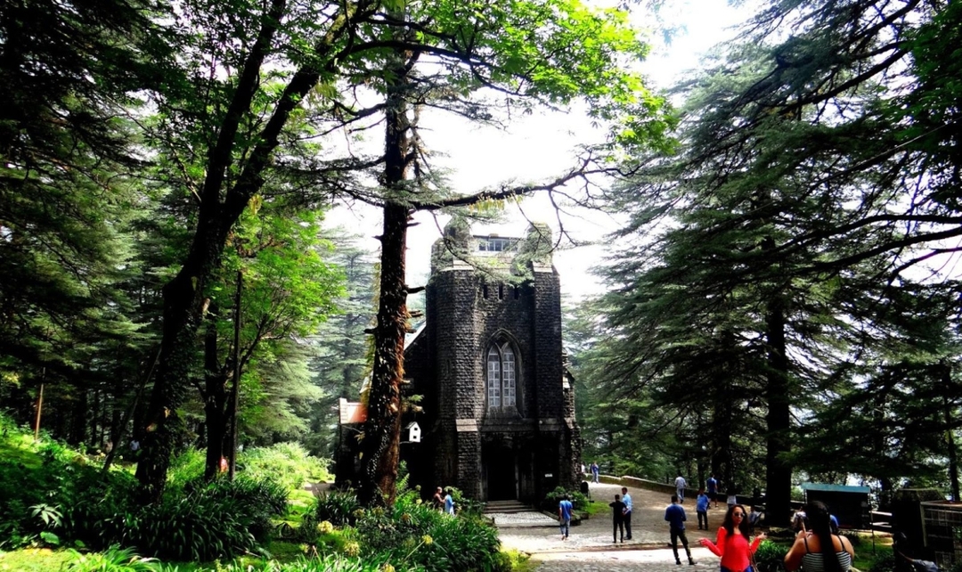 Himachal, Shimla to Dharamshala Experience 6