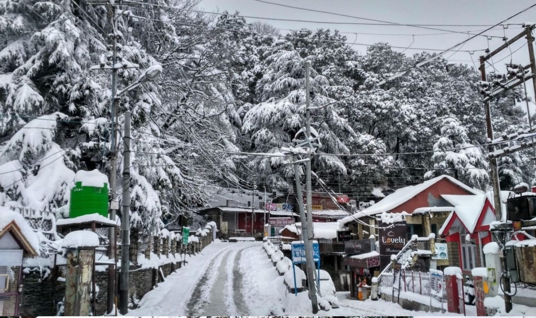 Himachal, Shimla to Dharamshala Experience 7