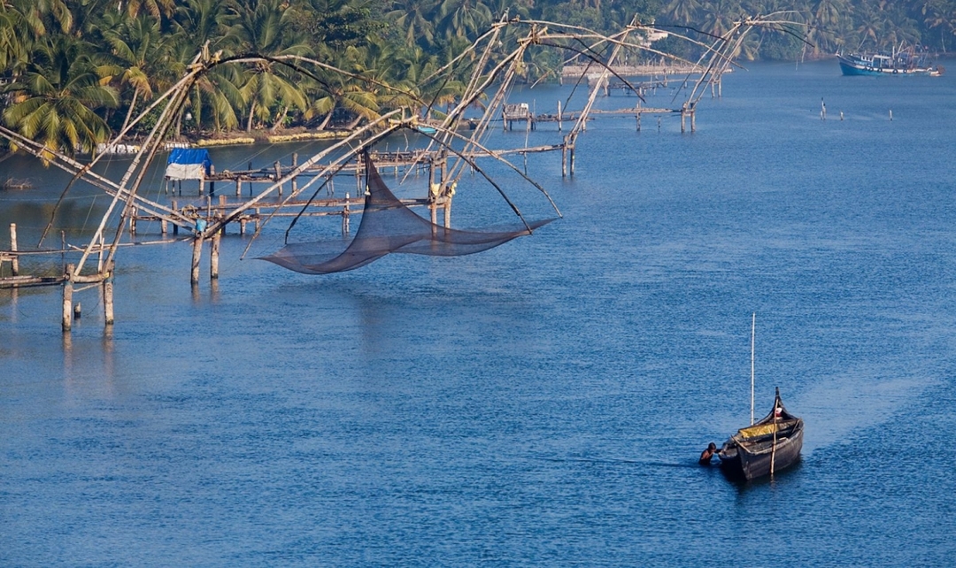 Kerala Beaches, Backwaters & Wildlife Experience 8