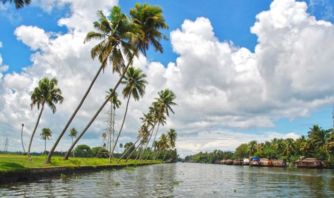 Kerala Highlights Experience 9