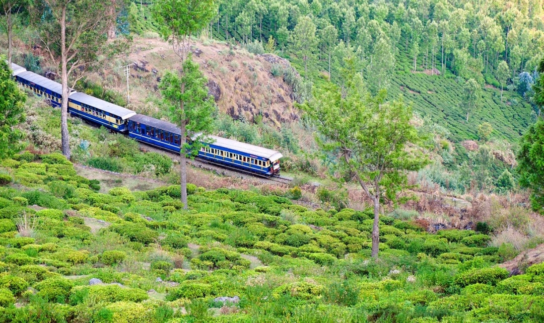 Southern India, Karnataka to Kerala Experience 5