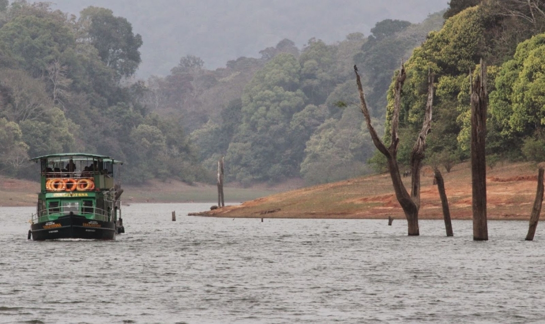 Southern India, Karnataka to Kerala Experience 8