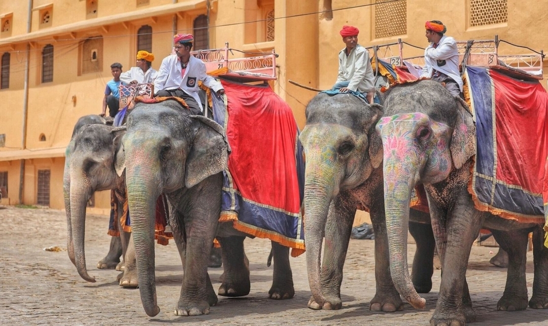 North India and Rajasthan Experience 10