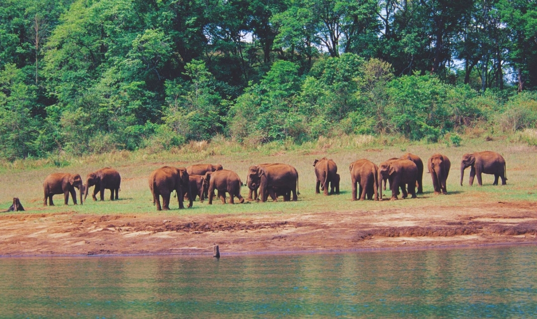 Kerala Panorama Experience 3
