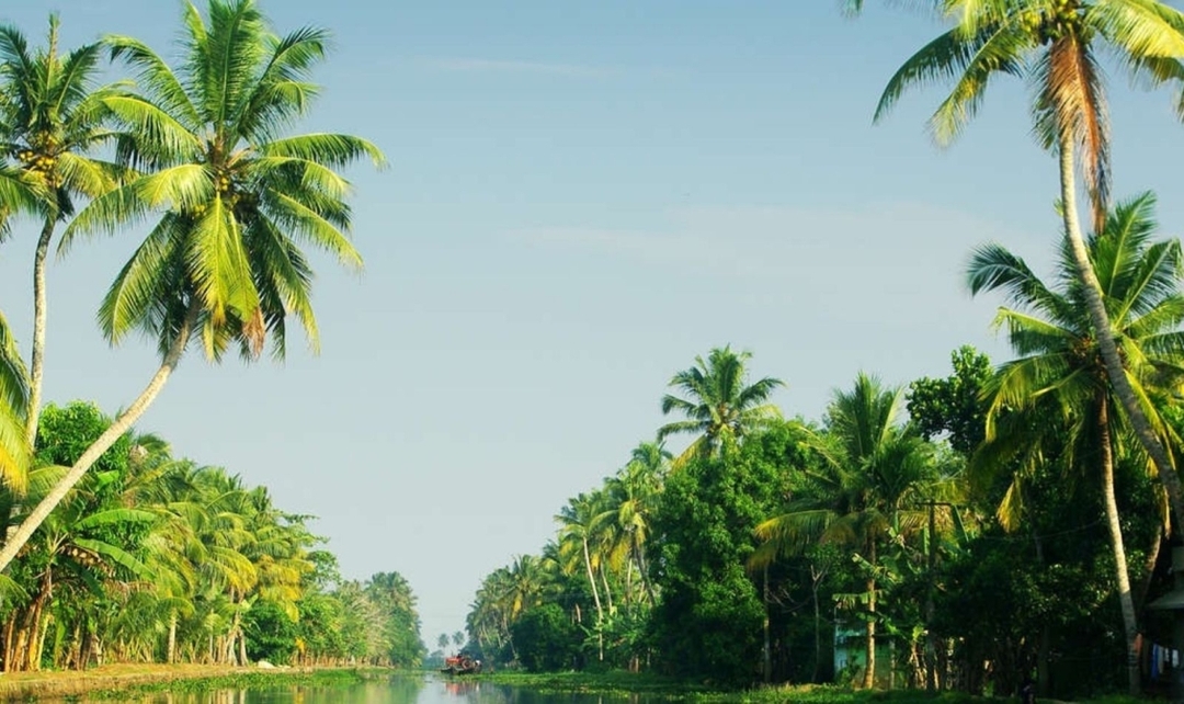 Kerala Panorama Experience 6