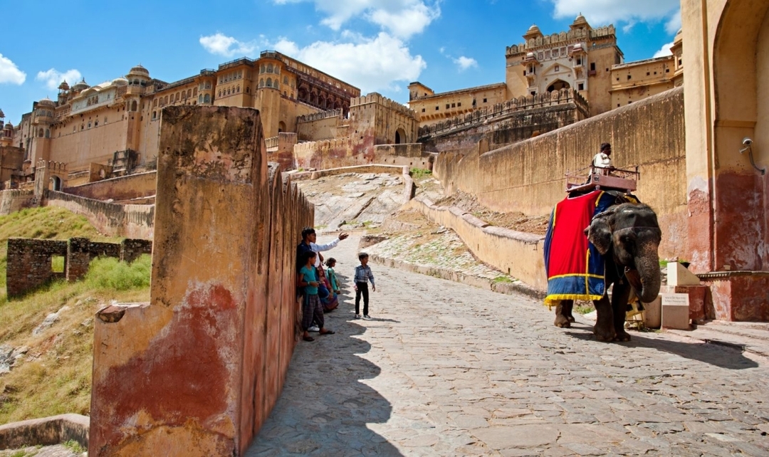 Rajasthan Forts & Ranthambore Tiger Safari Experience 2