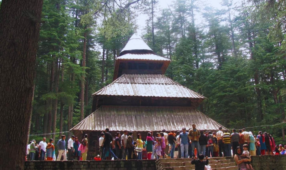 Exotic India, Mumbai, Pench Tiger Safari & Shimla Hills 8