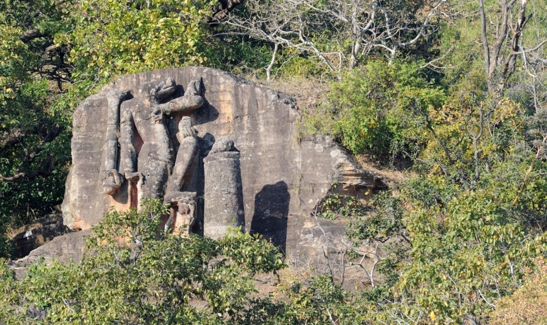 India Tiger Safari Experience, Ranthambore & Bandhavgarh 5