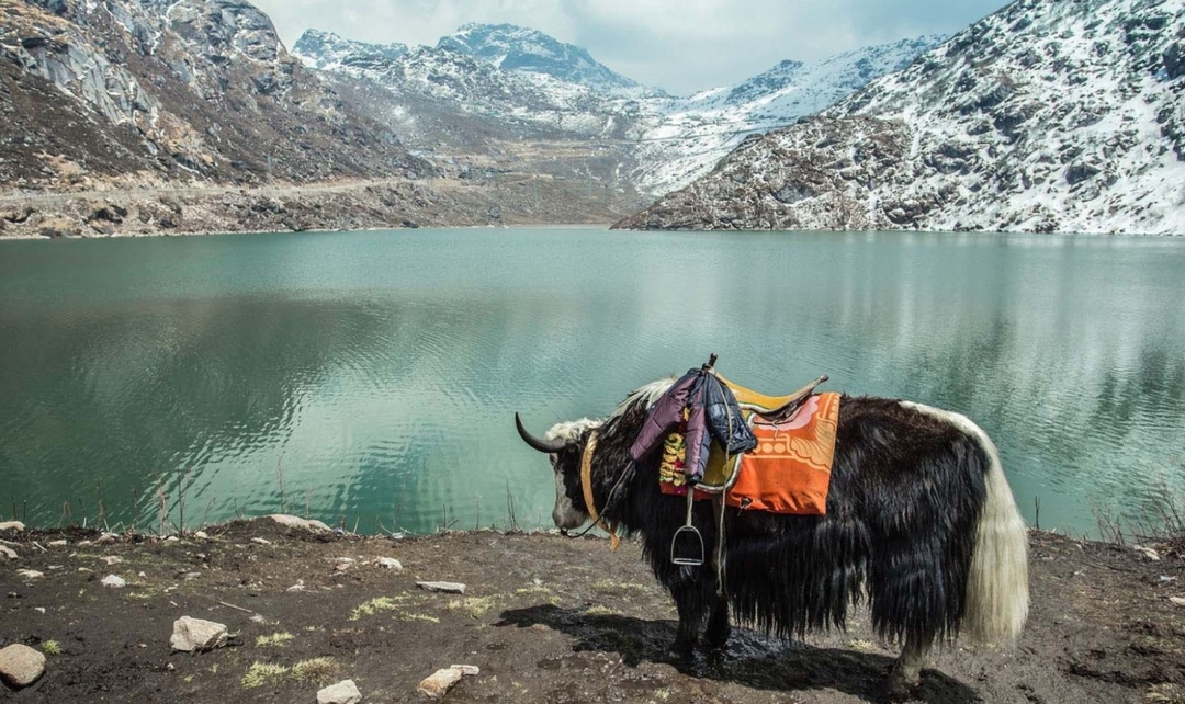 Eastern Himalaya Highlights Tour 5