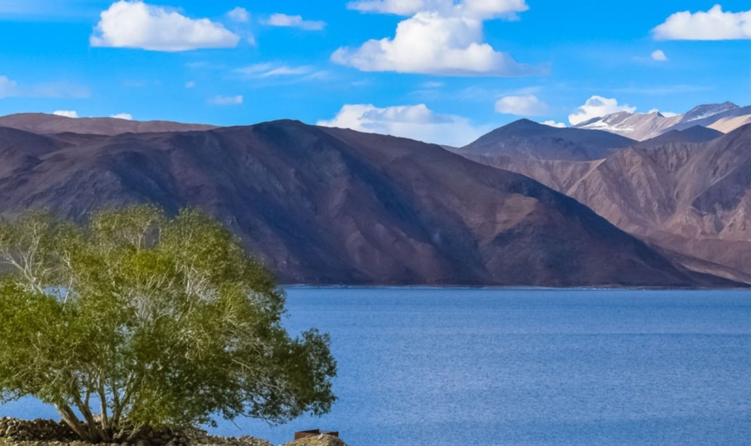 Leh Ladakh Cultural & Nature Experience 6