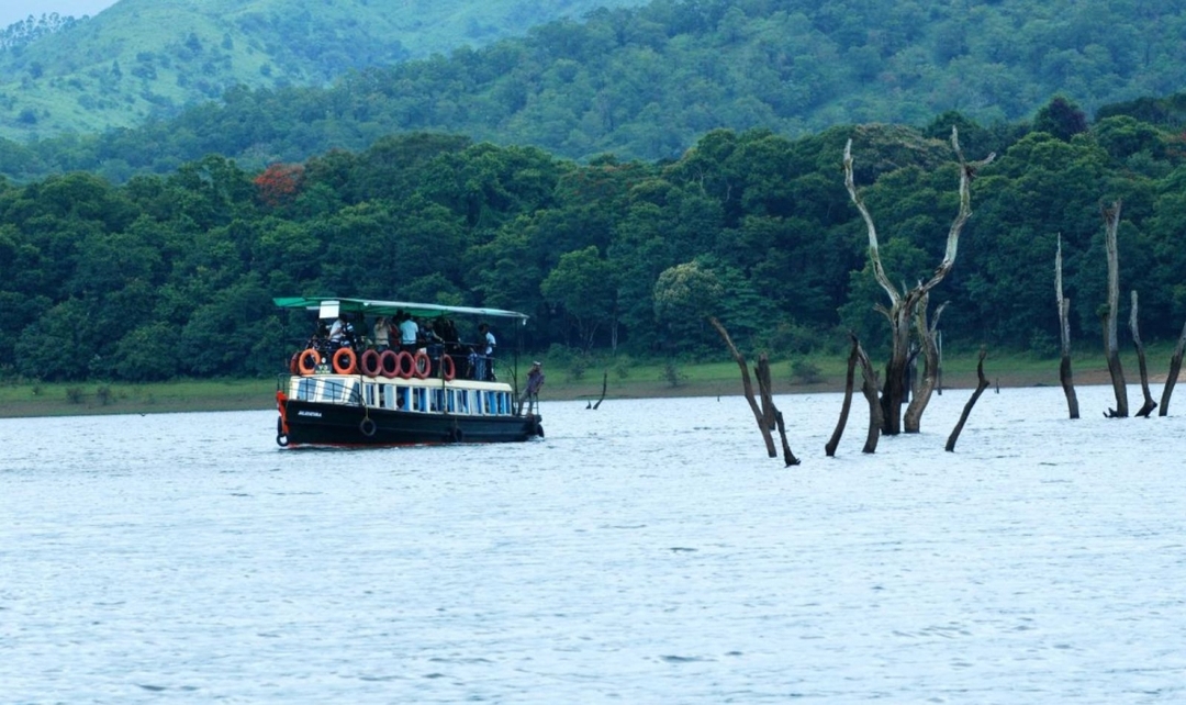 Karnataka to Kerala Wildlife & Backwaters 7
