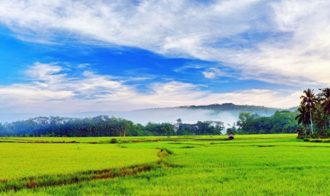 Kerala Backwaters & Beaches 3