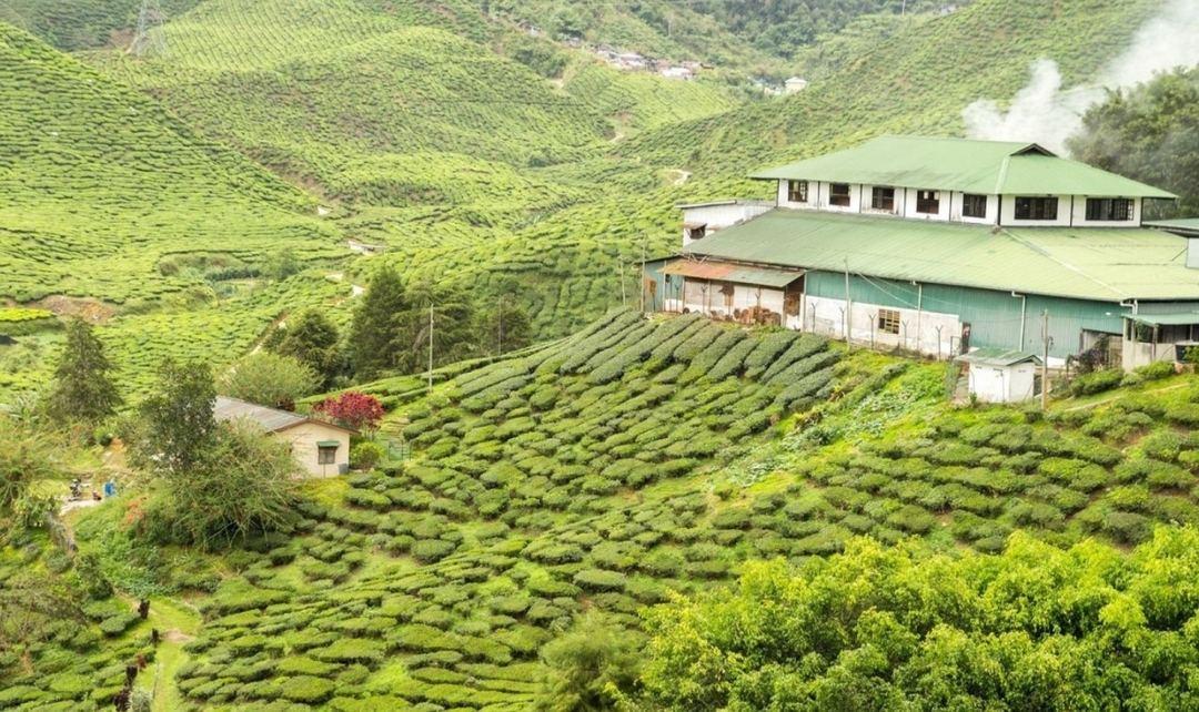 Amazing Kerala 3