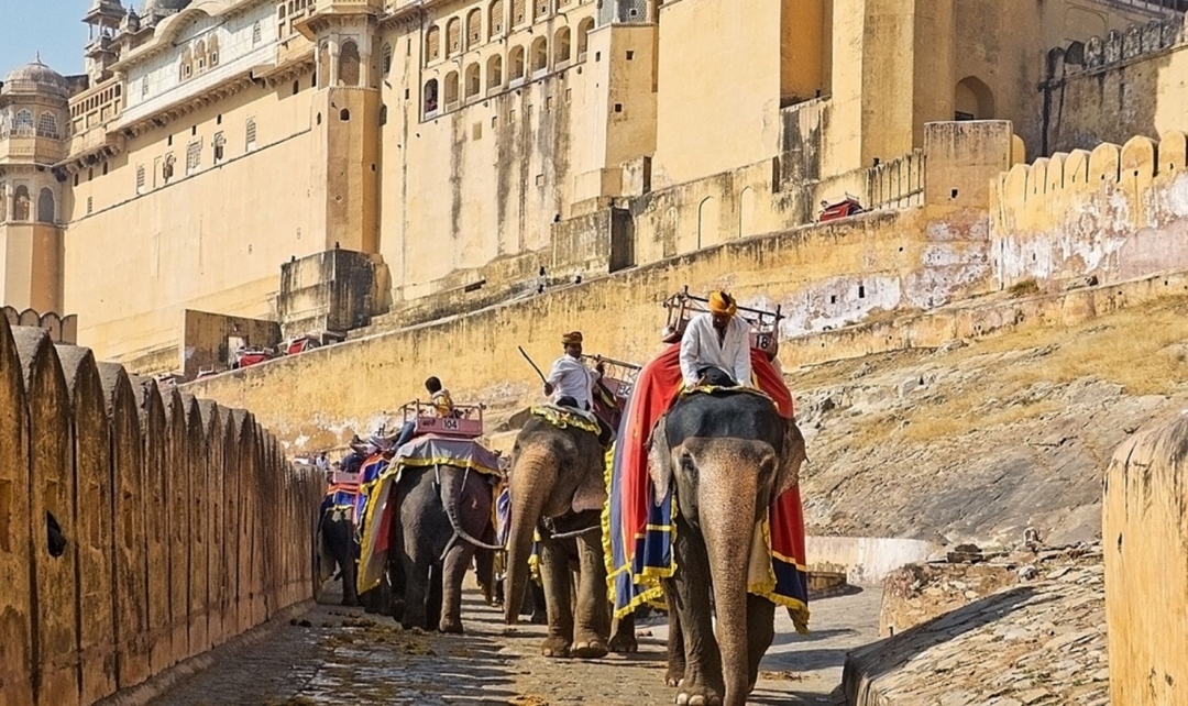 Golden Triangle Tour with Kovalam Beach 3