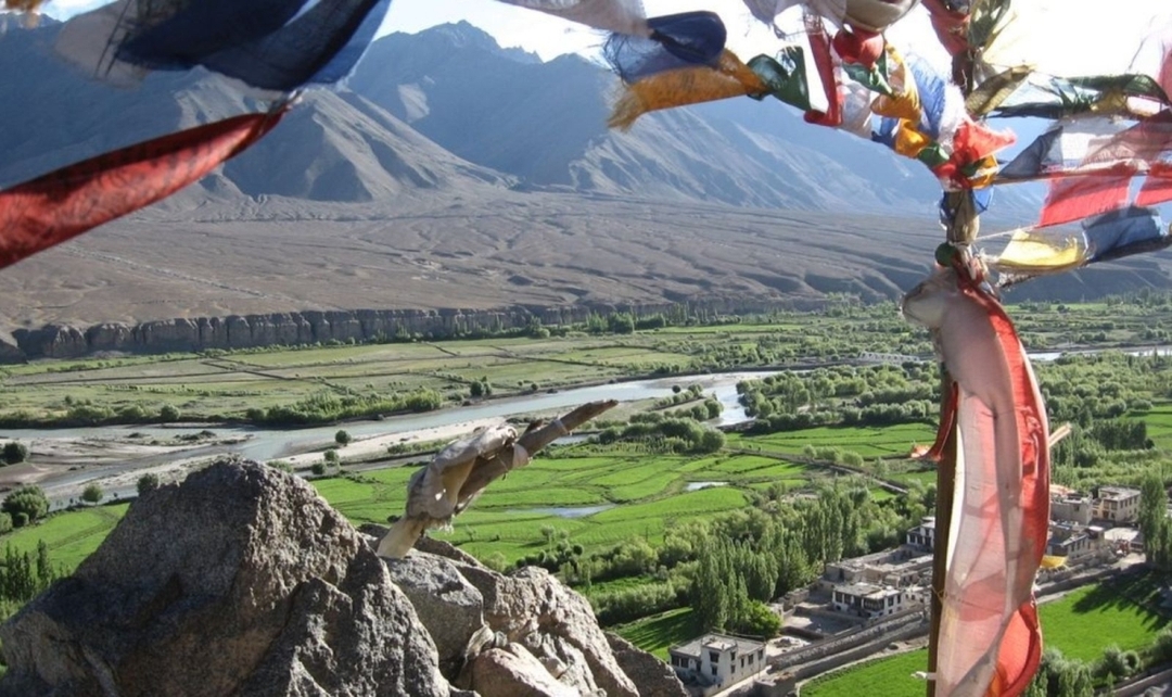 Leh Ladakh - Best of Tibet Experience 8