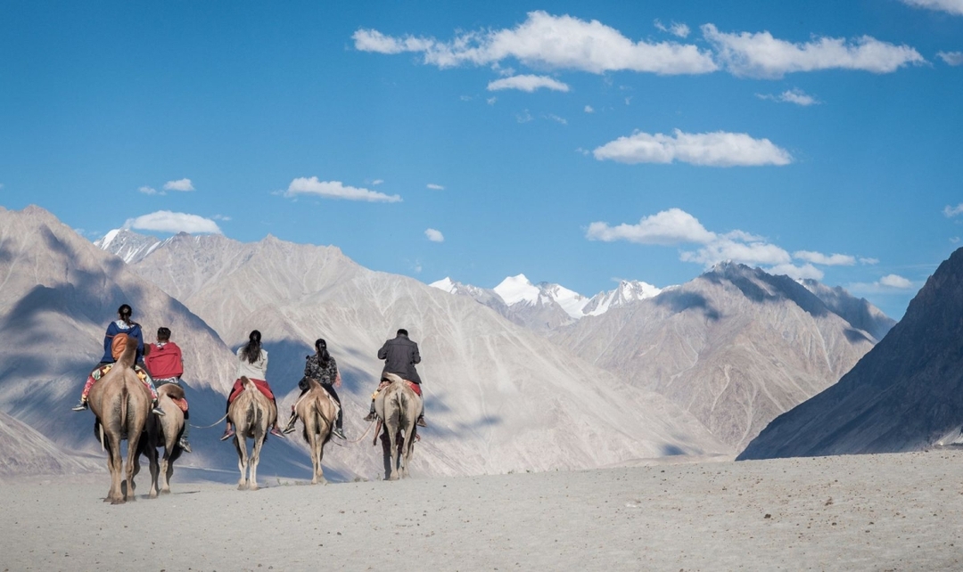 Golden Triangle Tour with Leh 1