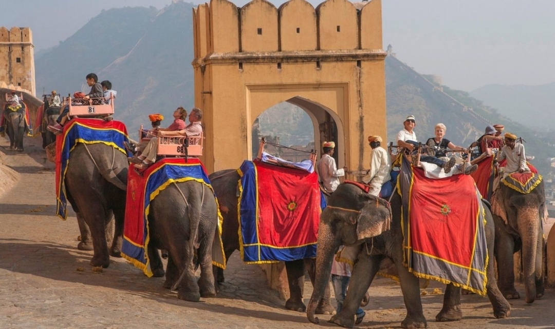 Golden Triangle Tour with Leh 5