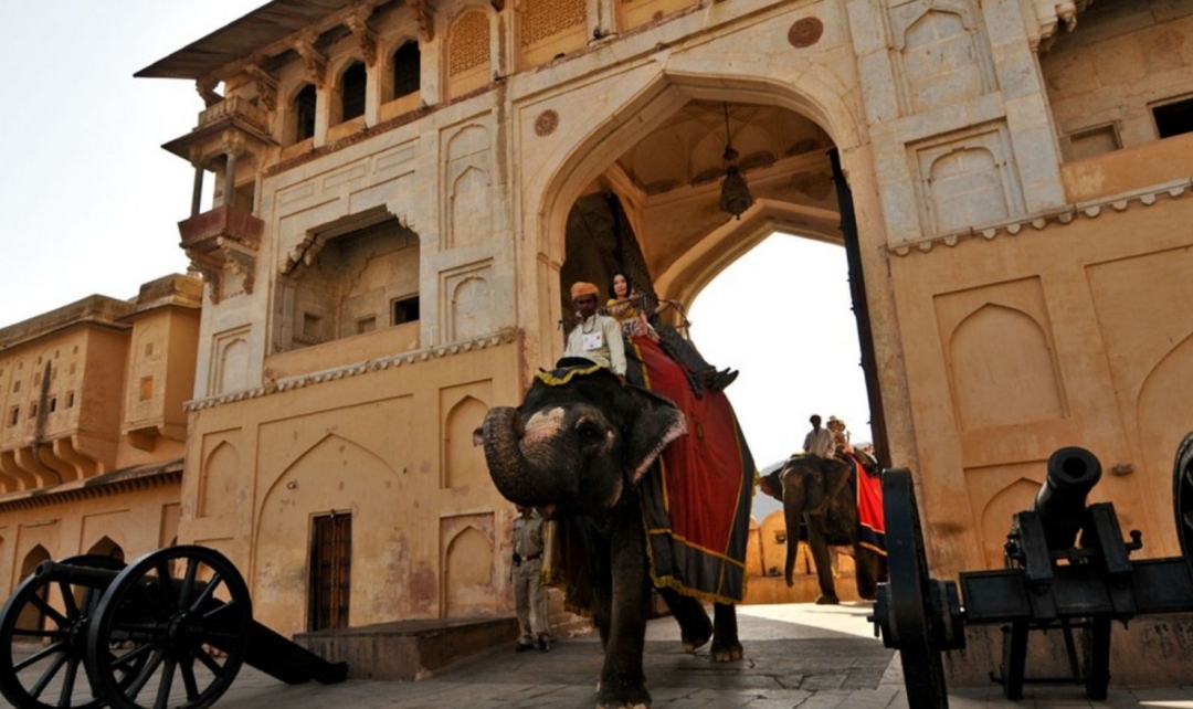 Rajasthan Heritage & Ranthambore Tiger Safari Tour 7