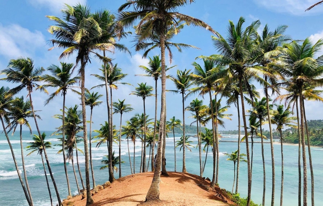 Sri Lanka, Wonders of the Wild 6