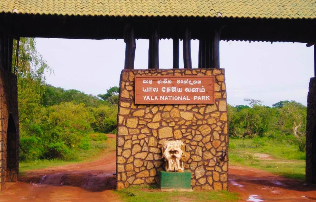 Sri Lanka, Wonders of the Wild 8