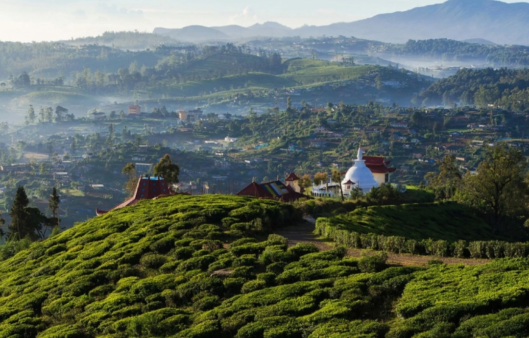 Treasures of Sri Lanka 8