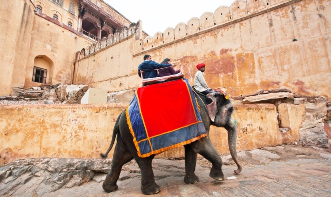India Highlights and Ranthambore Tiger Safari 9