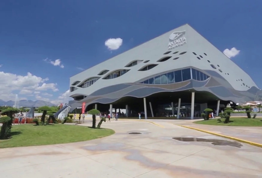 Antalya Aquarium Tour – Skip the Line & Explore the World’s Longest Tunnel Aquarium 5