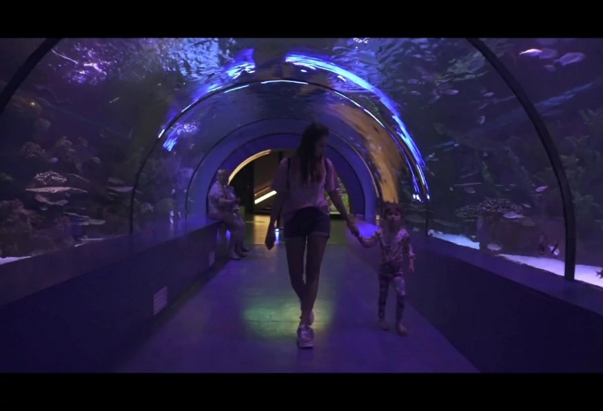 Antalya Aquarium Tour – Skip the Line & Explore the World’s Longest Tunnel Aquarium 7