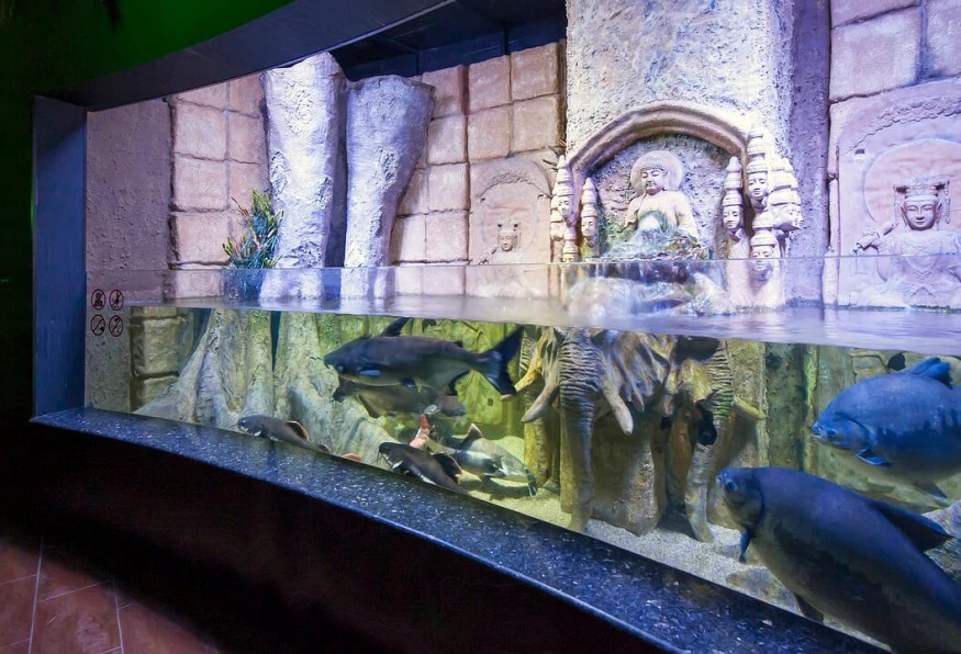 Antalya Aquarium Tour – Skip the Line & Explore the World’s Longest Tunnel Aquarium 9