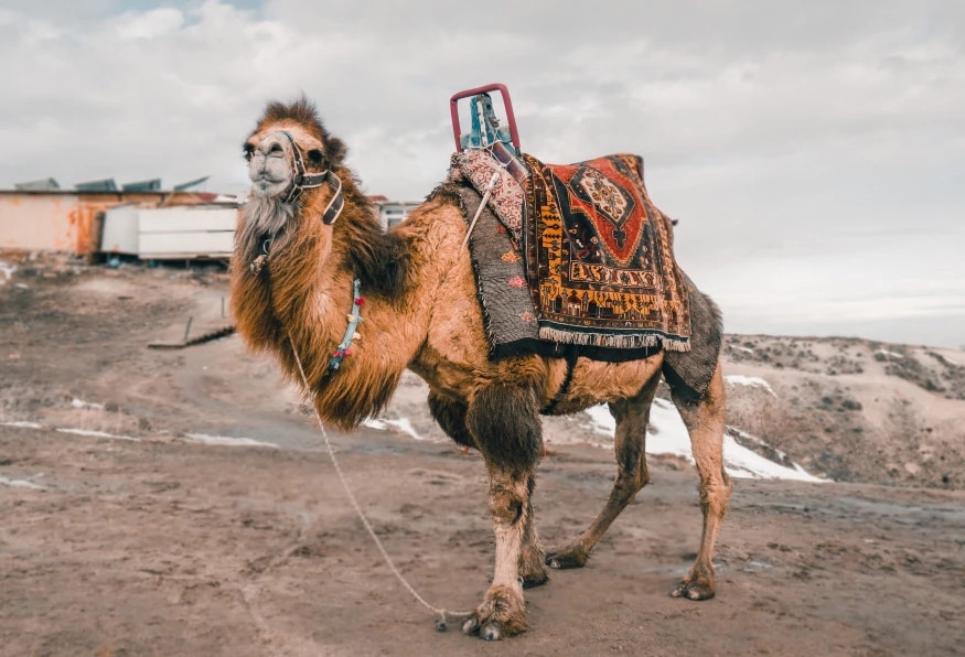 8 Days Suv Safari Cappadocia – Konya – Antalya Tour 12