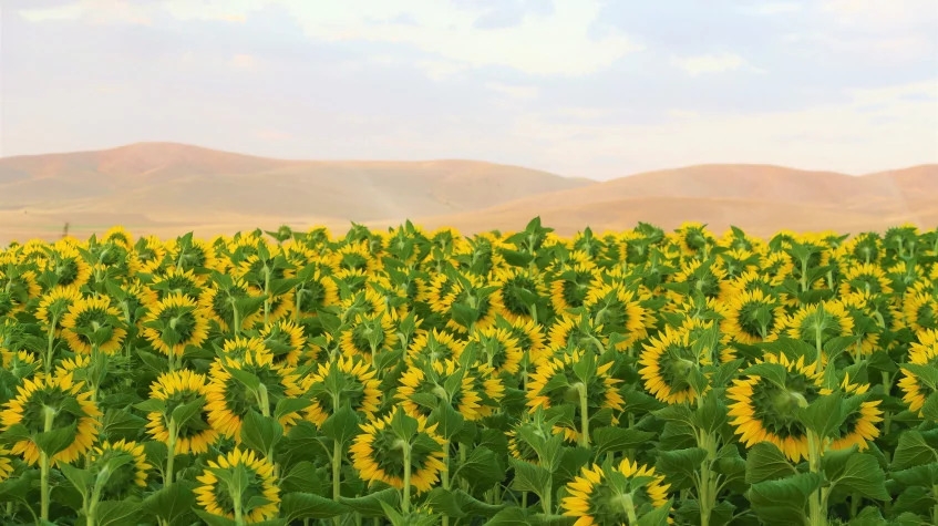 8 Days Suv Safari Cappadocia – Konya – Antalya Tour 33