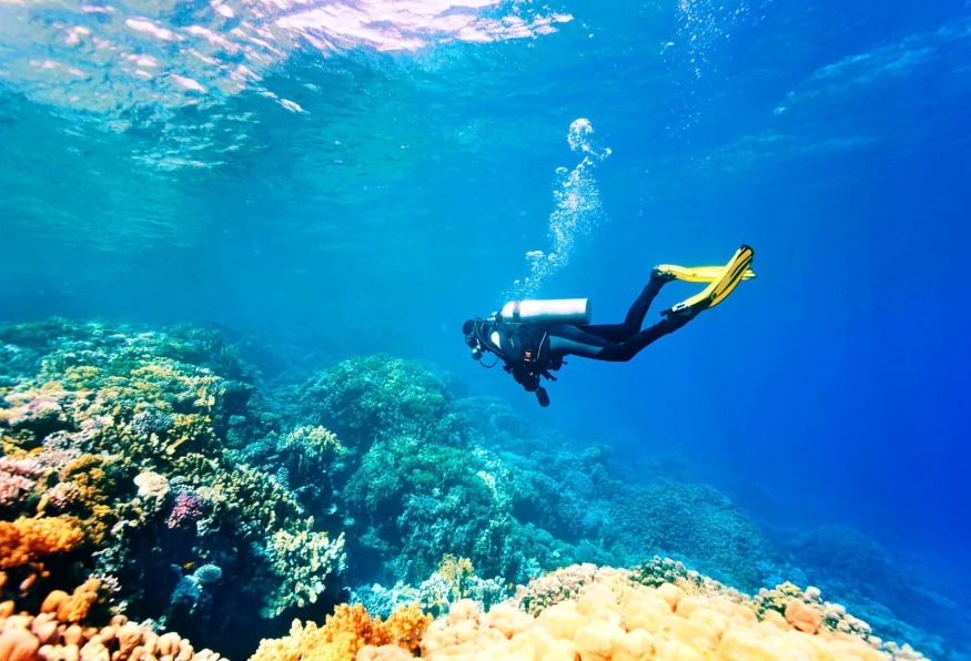 Antalya Scuba Diving Tour – Discover the Underwater Wonders of the Mediterranean 7