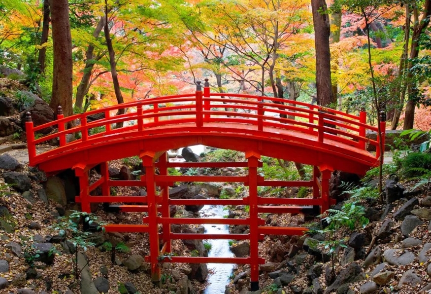 *Unless your flight departs from Fukuoka, this is outside our service area. 25