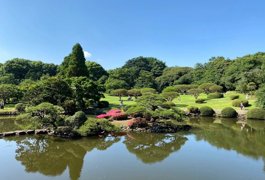*Unless your flight departs from Fukuoka, this is outside our service area. 30