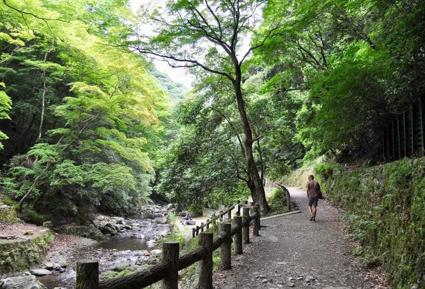 *Unless your flight departs from Fukuoka, this is outside our service area. 32