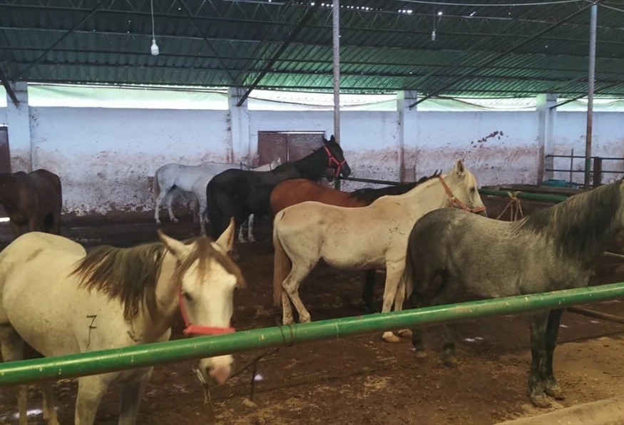 Daily Kastamonu Village Tour 1