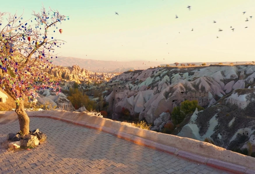 Daily Photo Safari Cappadocia Tour from Nevsehir 8